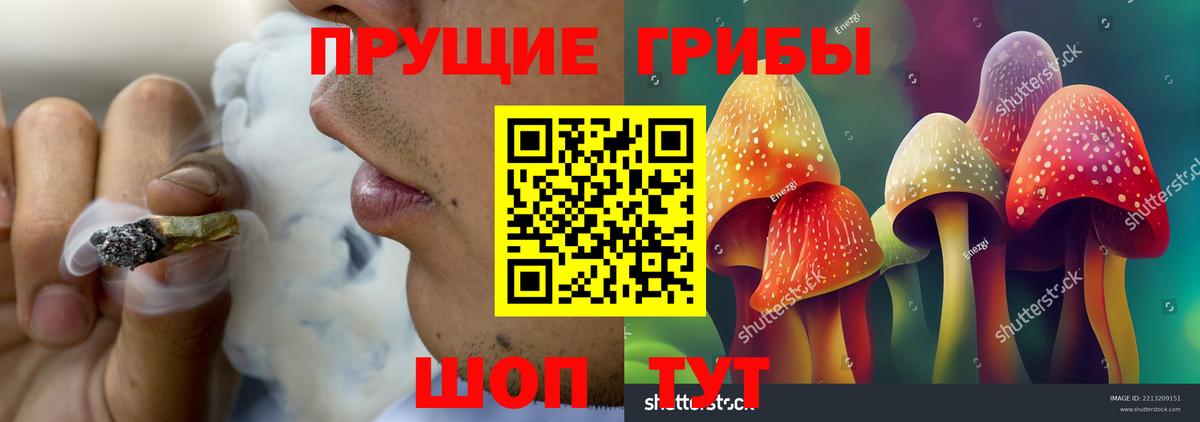 Псилоцибиновые грибы Magic Shrooms  Вход с VPN  Жигулёвск  Галлюциногенные грибы прущие грибы 